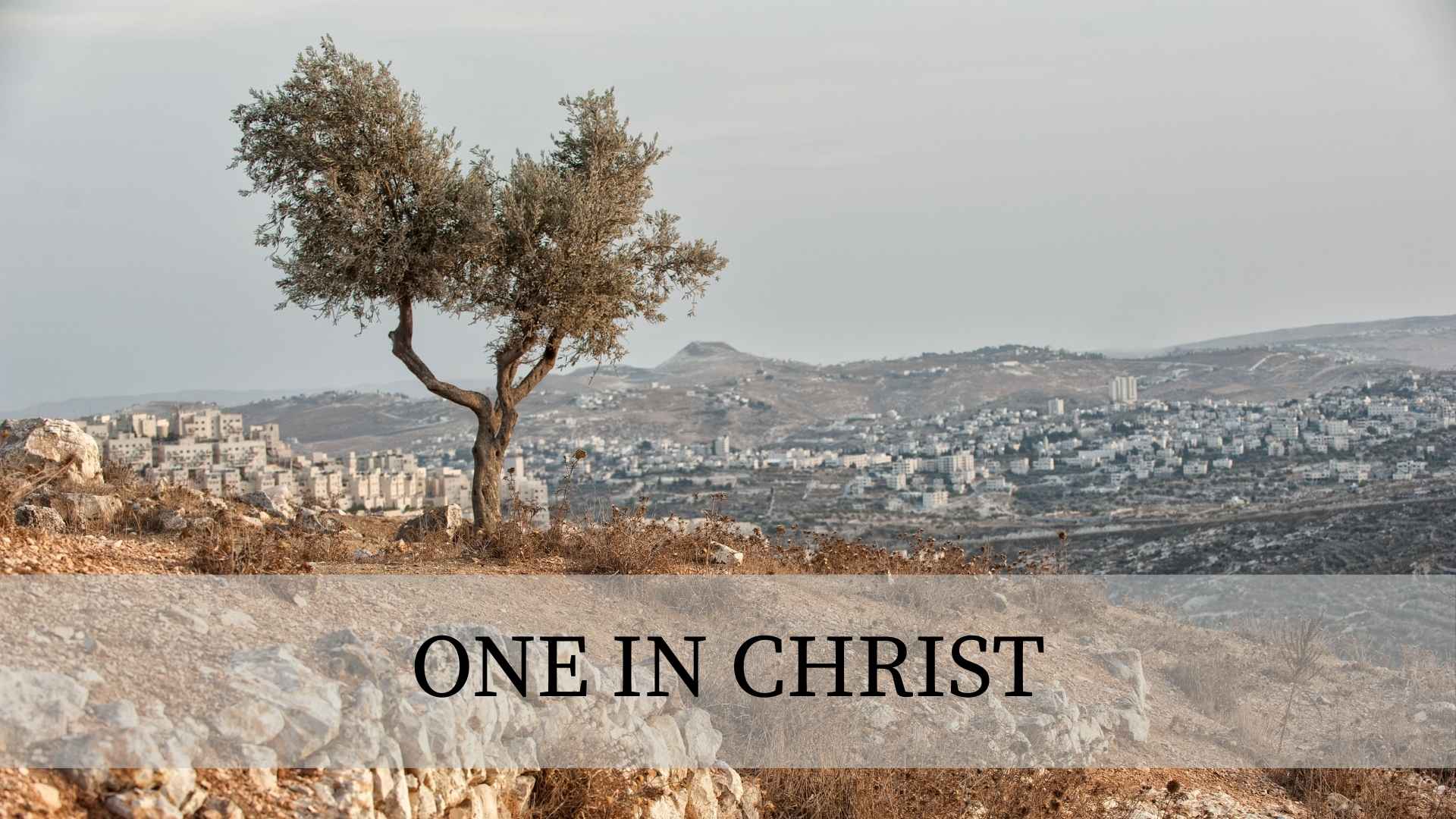 One in Christ