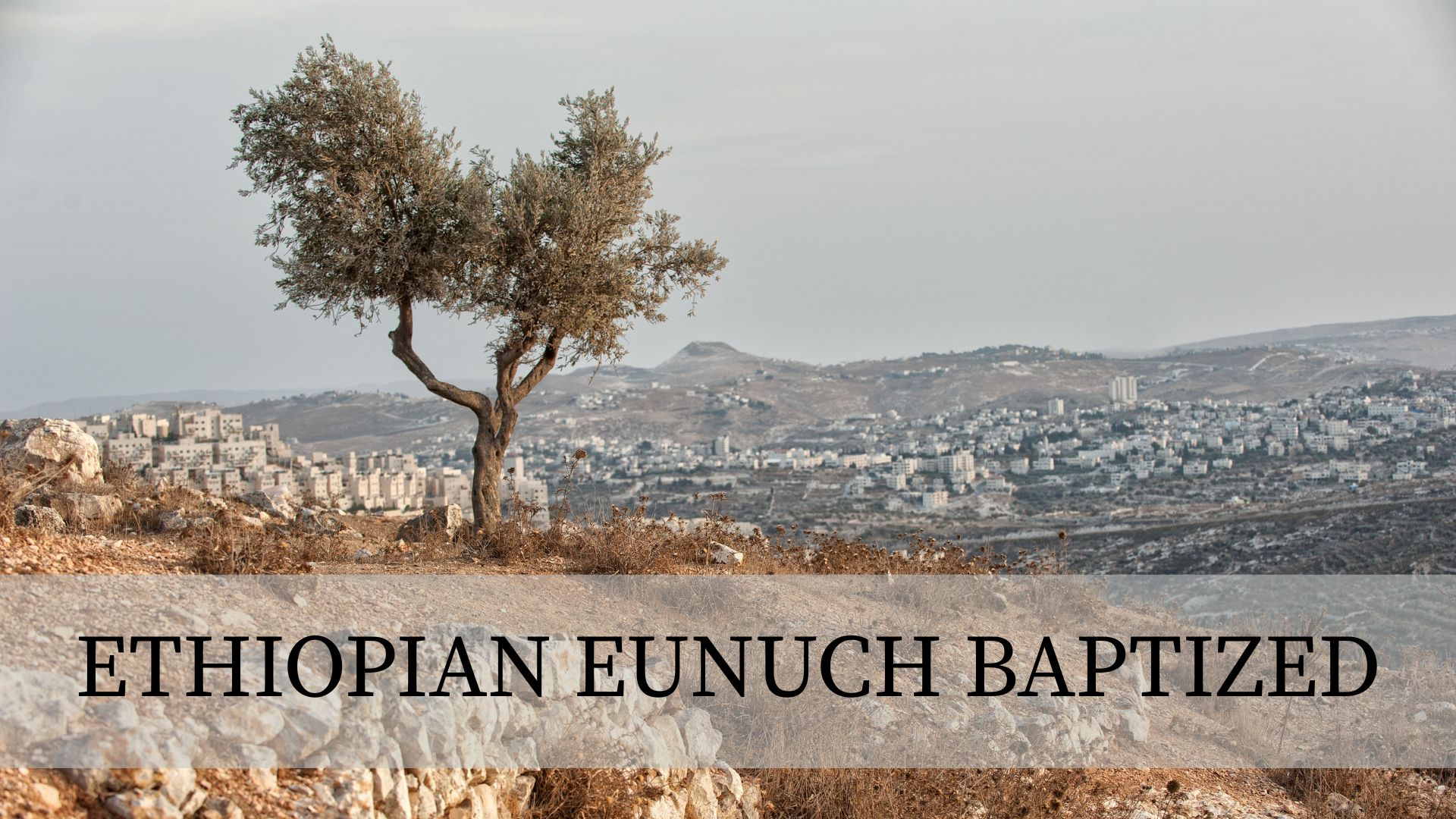 Ethiopian Eunuch Baptized
