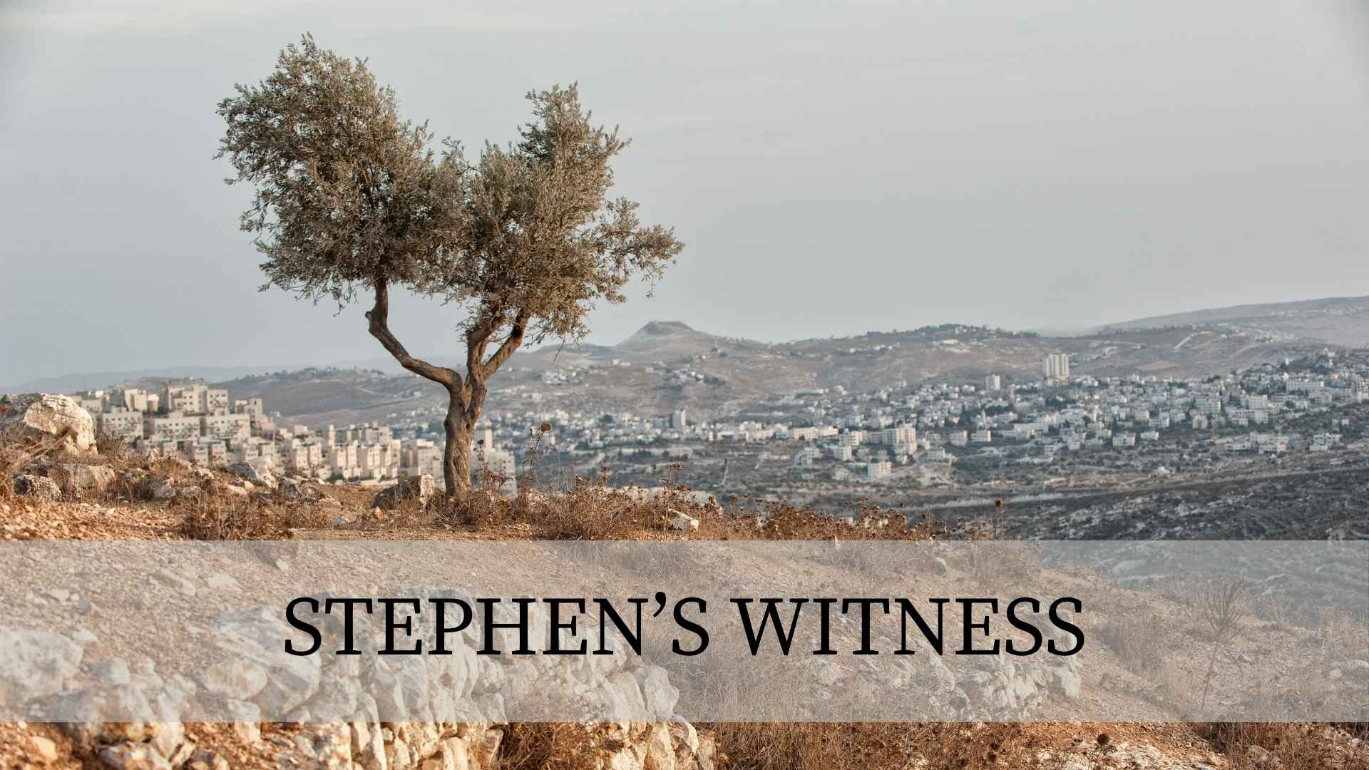 Stephen's Witness