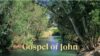 Gospel of John Part 12 episode artwork