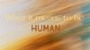 What it Means to Be Human episode artwork