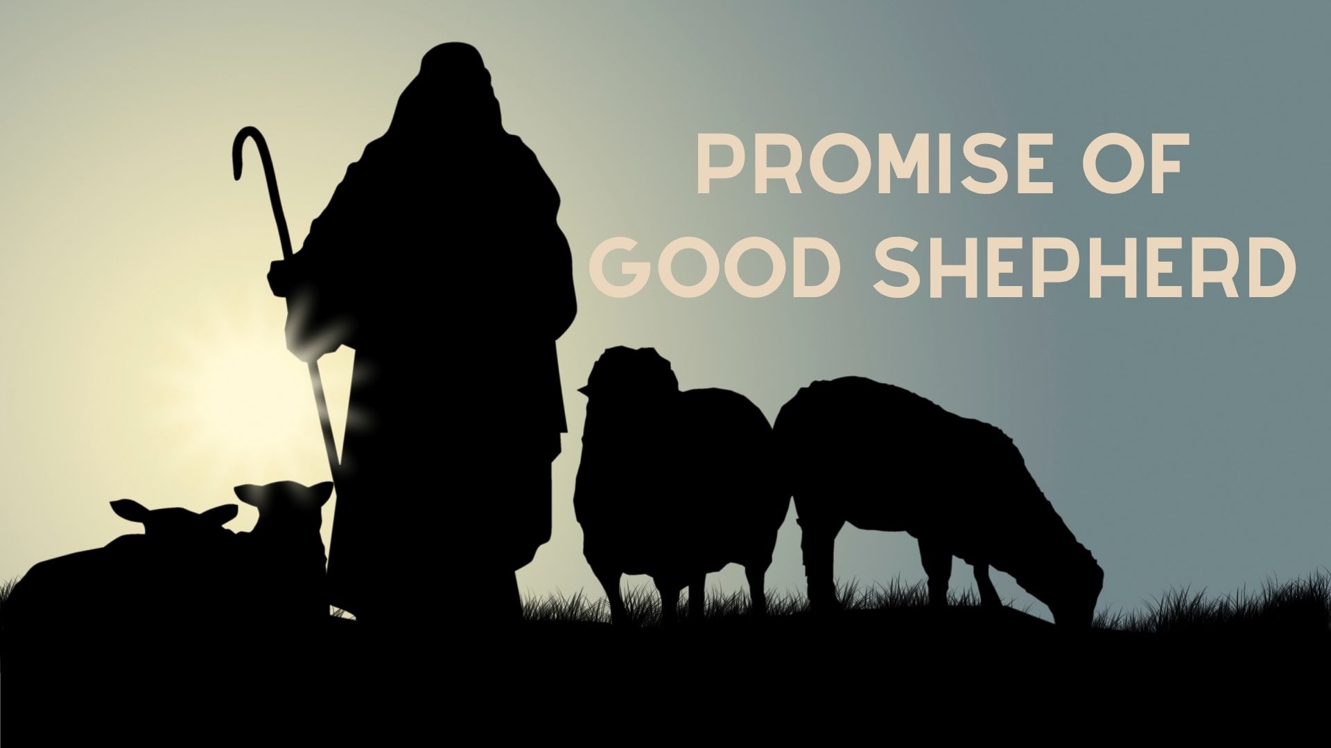 Featured image for “Promise of Good Shepherd”
